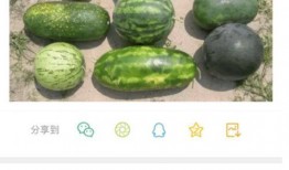 新瓜最新爆料,揭秘娱乐圈最新热点事件内幕