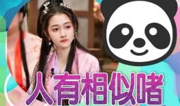 新瓜最新爆料合集在线观看,热点事件深度解析